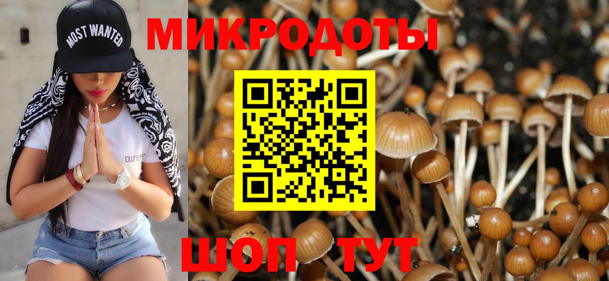 Галлюциногенные грибы мицелий  Вход с VPN  Мариинск 